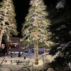 Meet your Posher, Savvy